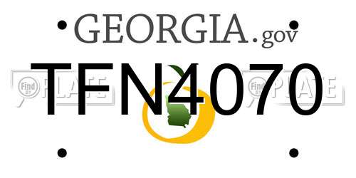 TFN4070 Georgia License Plate