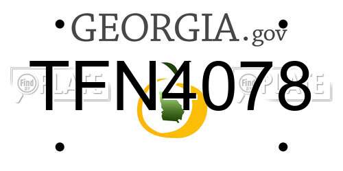 TFN4078 Georgia License Plate