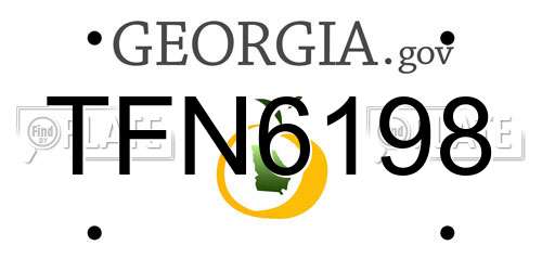 TFN6198 Georgia License Plate