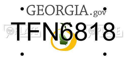 TFN6818 Georgia License Plate