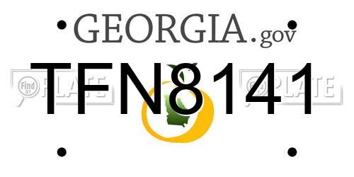 TFN8141 Georgia License Plate