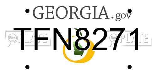 TFN8271 Georgia License Plate