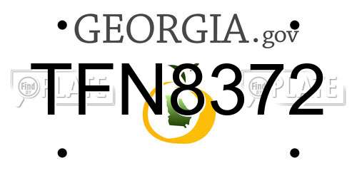 TFN8372 Georgia License Plate