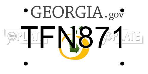 TFN871 Georgia License Plate