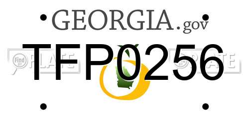 TFP0256 Georgia License Plate