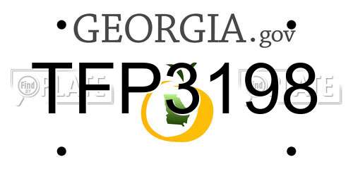 TFP3198 Georgia License Plate