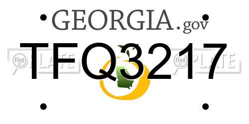 TFQ3217 Georgia License Plate