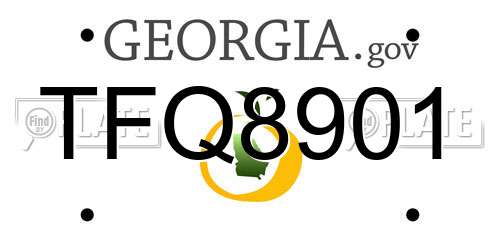 TFQ8901 Georgia License Plate