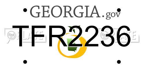 TFR2236 Georgia License Plate
