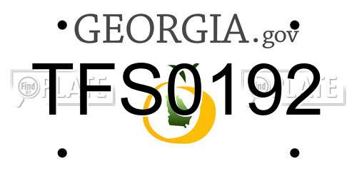 TFS0192 Georgia License Plate
