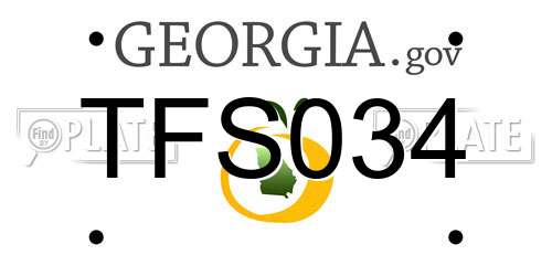 TFS034 Georgia License Plate
