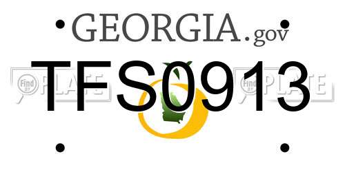 TFS0913 Georgia License Plate