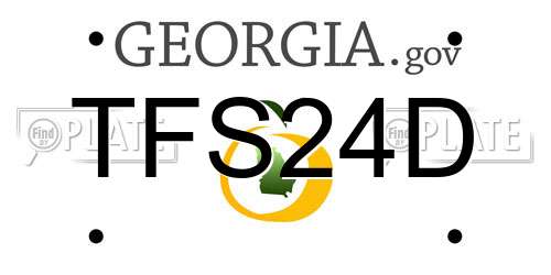 TFS24D Georgia License Plate