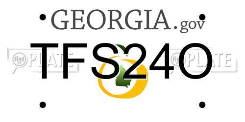 TFS24O Georgia License Plate