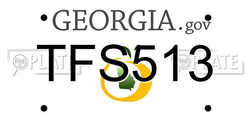 TFS513 Georgia License Plate