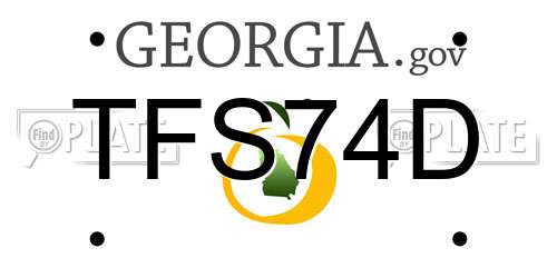 TFS74D Georgia License Plate