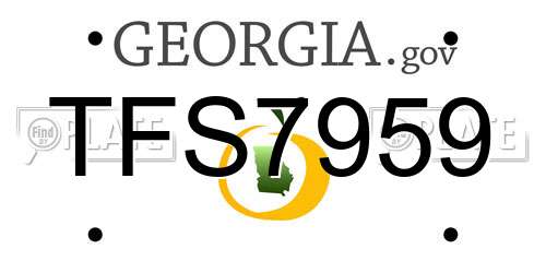 TFS7959 Georgia License Plate