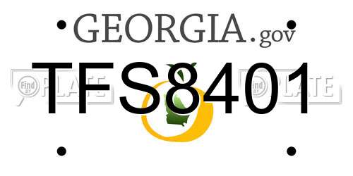 TFS8401 Georgia License Plate