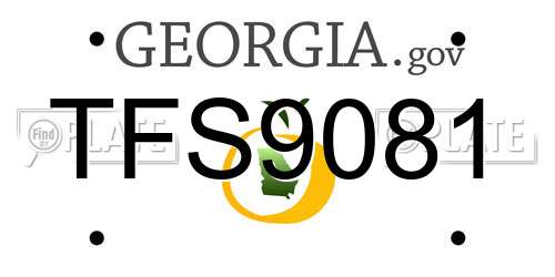 TFS9081 Georgia License Plate