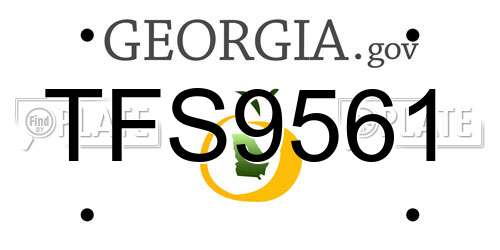 TFS9561 Georgia License Plate