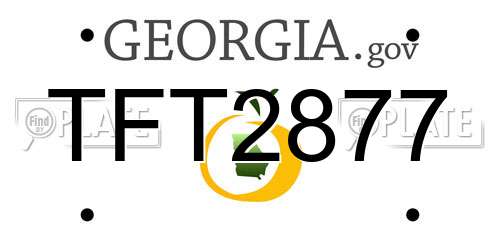 TFT2877 Georgia License Plate