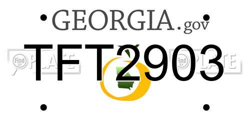 TFT2903 Georgia License Plate