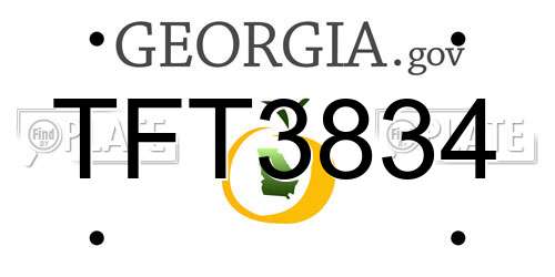 TFT3834 Georgia License Plate