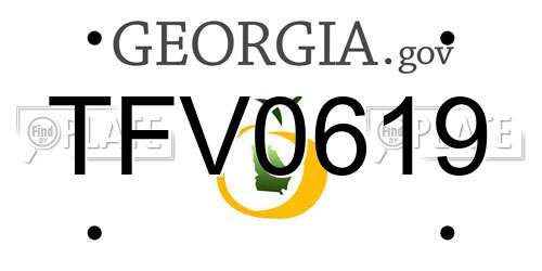 TFV0619 Georgia License Plate