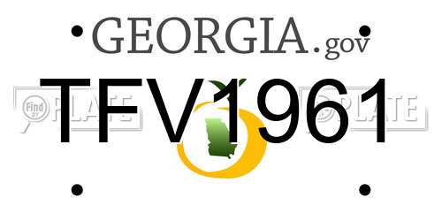 TFV1961 Georgia License Plate