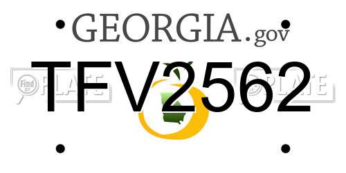 TFV2562 Georgia License Plate