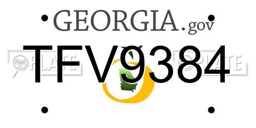 TFV9384 Georgia License Plate