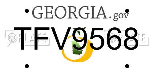 TFV9568 Georgia License Plate