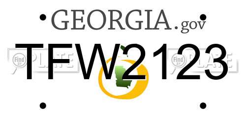 TFW2123 Georgia License Plate