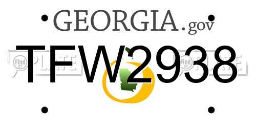 TFW2938 Georgia License Plate