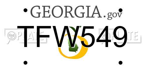 TFW549 Georgia License Plate