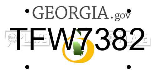 TFW7382 Georgia License Plate