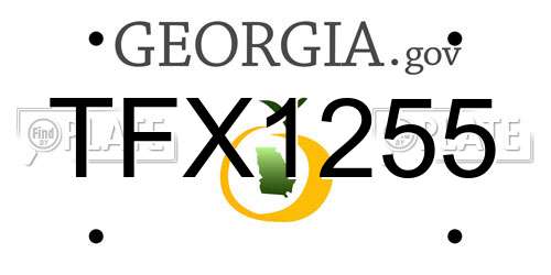 TFX1255 Georgia License Plate