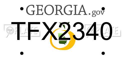 TFX2340 Georgia License Plate