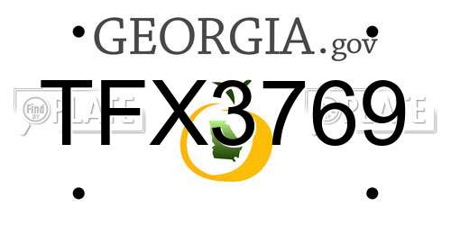 TFX3769 Georgia License Plate