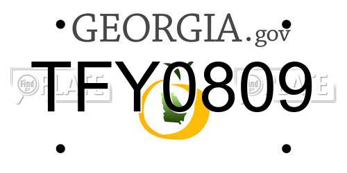 TFY0809 Georgia License Plate