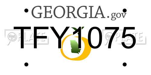 TFY1075 Georgia License Plate