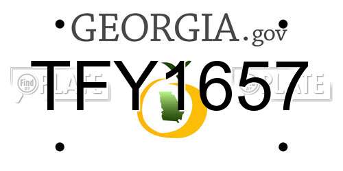 TFY1657 Georgia License Plate