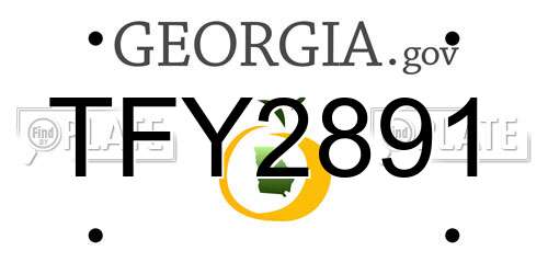 TFY2891 Georgia License Plate