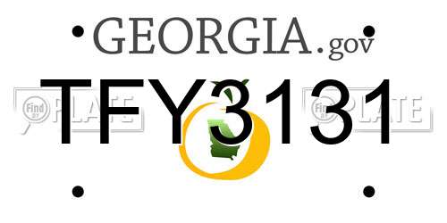 TFY3131 Georgia License Plate