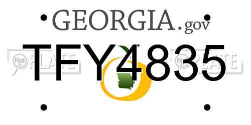 TFY4835 Georgia License Plate