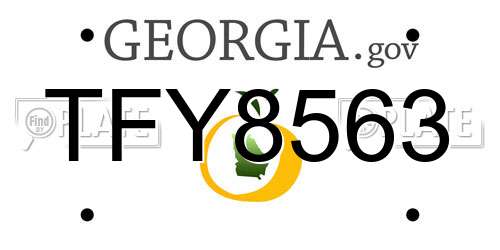 TFY8563 Georgia License Plate