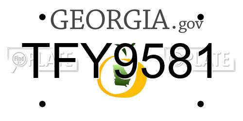 TFY9581 Georgia License Plate