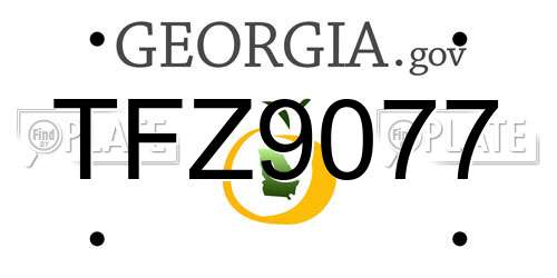 TFZ9077 Georgia License Plate