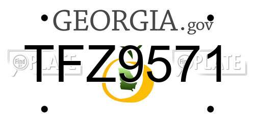TFZ9571 Georgia License Plate