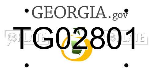 TG02801 Georgia License Plate